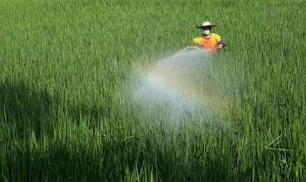 Fonctions antimousse et d'amélioration de l'efficacité des antimousses pour pesticides